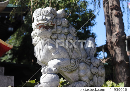 Kawagoe Kawagoe Hachimangu Shrine Shiba Inu 44939026