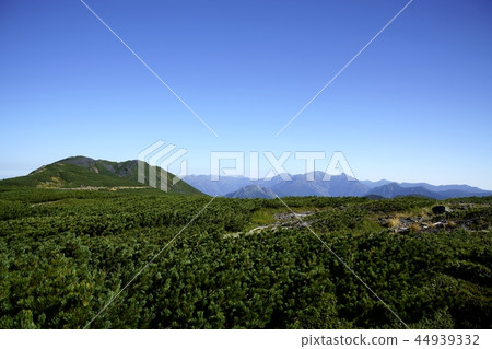 9月的Norikura-dake(拍攝地點:Norikura-dake,Tatami-hira) 9月的Norikura-dake(拍攝地點:Norikura-dake,Tatami-hira) 44939332