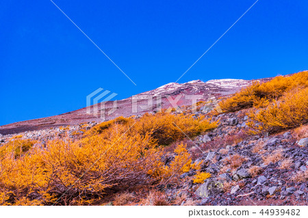 (靜岡縣)從富士山5樓和富士宮口秋葉和降雪看富士山 (靜岡縣)從富士山5樓和富士宮口秋葉和降雪看富士山 44939482