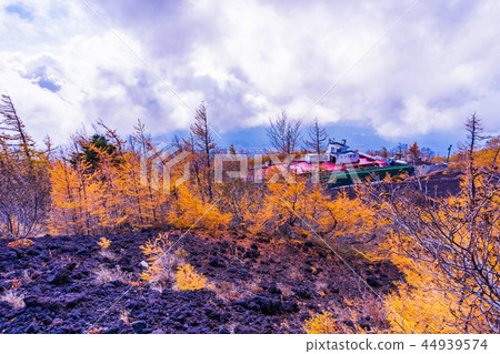 （靜岡縣）富士山，表富士宮口第5站休息室秋葉和降雪 44939574