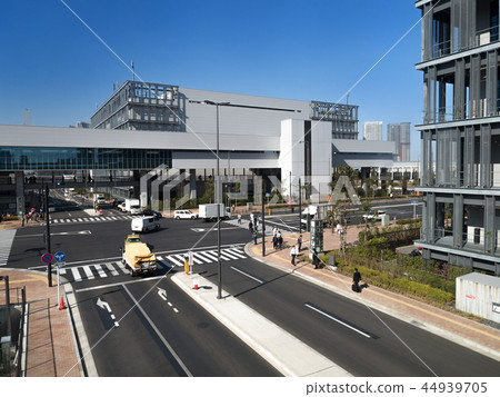 Toyosu Market 44939705
