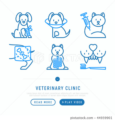 Veterinary clinic thin line icons set Veterinary clinic thin line icons set 44939901