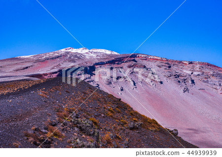 (Shizuoka Prefecture) Mt. Fuji, Takanaga promenade Autumn leaves and snowfall 44939939