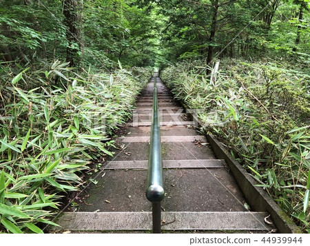 Mountain road 44939944