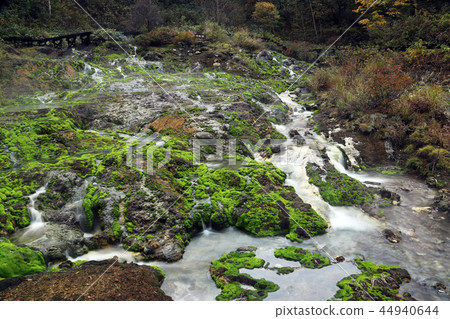 白菜Migoke 7 44940644