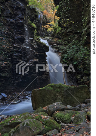 Sukkananzawa Yuhi瀑布（秋天） 44940736