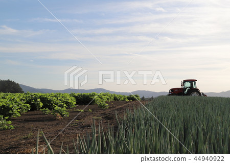 Toyosu no Oka Ibaraki Prefecture Ishioka City Hachisato Toyosu no Oka Ibaraki Prefecture Ishioka City Hachisato 44940922