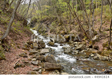 Kamogawa的Adawara Valley Okudake Nature Trail風景 44941614