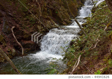 Kamogawa的Adawara Valley Okudake Nature Trail風景 44941626