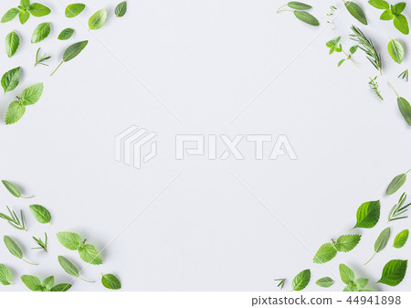 Seamless pattern of fresh herbs and spices basil,  44941898