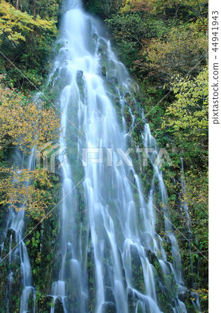 Kijimadaira Taru Falls 44941943