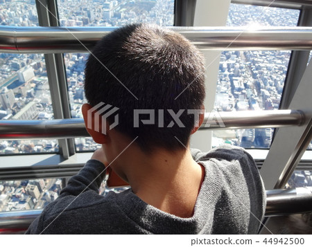 The back of a child 44942500