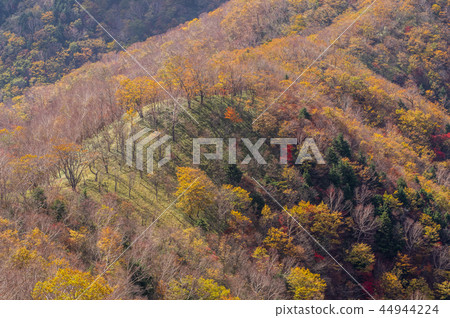 Autumn leaves in the mountains Sunlight shining on ridges and slopes Nikko Hangeyama parking lot Observatory a-2 Telescopic range brighter Autumn leaves in the mountains Sunlight shining on ridges and slopes Nikko Hangeyama parking lot Observatory a-2 Telescopic range brighter 44944224