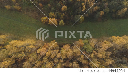 Aerial top view over field and autumn forest in the morning Aerial top view over field and autumn forest in the morning 44944934