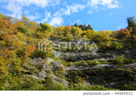 日本的百景點:在花谷腳下的秋葉 日本的百景點:在花谷腳下的秋葉 44945012