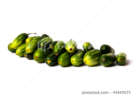 Pointed gourd vegetables on white background Pointed gourd vegetables on white background 44945075