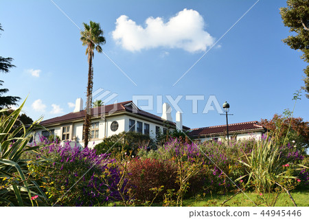 Hill Park where Yokohama · Harbor can be seen 44945446