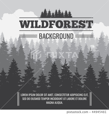Wild coniferous pine forest vector outdoor nature background 44945481
