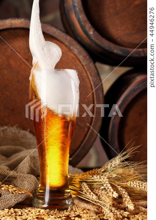 Glass of beer splashing . barley and barrels Glass of beer splashing . barley and barrels 44946276