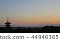 Kofuku-ji寺五層塔和Chukindo 44946365