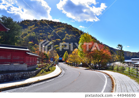 Near the Nadagasahama parking lot of Nikko dyed in the autumn leaves 44946690