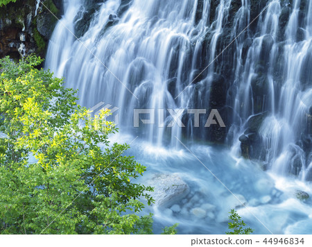 Shiranagi Falls and Fresh Green (Hokkaido) Shiranagi Falls and Fresh Green (Hokkaido) 44946834