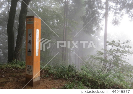 刈谷山 刈谷山 44946877