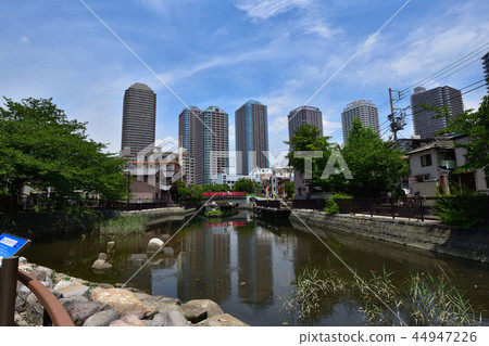 Tsubaki Park x Tatsumi Bridge 44947226