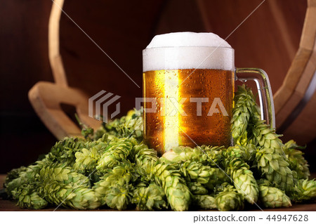 Beer .Mug of beer.Beer with hops. 44947628