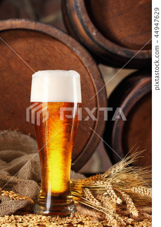 Glass of beer .With wheat and barley and barrel 44947629
