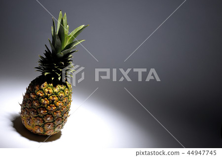 菠蘿 菠蘿 44947745