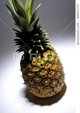 pineapple  44947757
