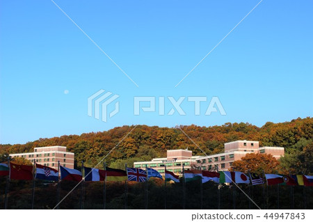 韓國外國語大學全球校區 44947843