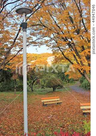 Korea Foreign Language University Global Campus Korea Foreign Language University Global Campus 44947846