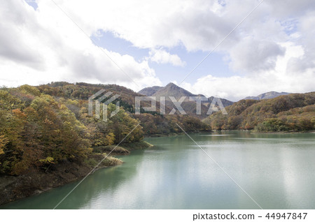 Irabata dam of summer oil autumn leaves 44947847