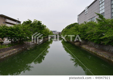 Minamibori of Nijo Castle 44947921