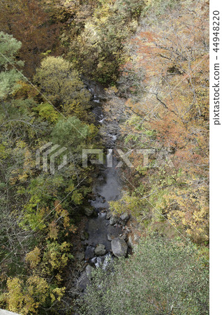 Autumn of summer oil 44948220