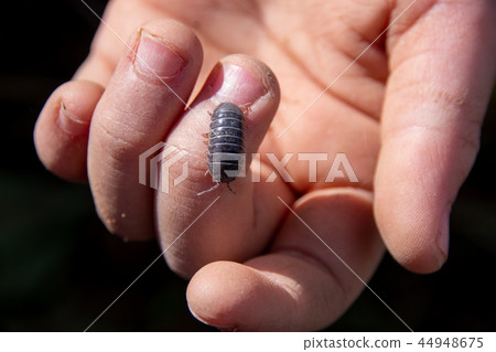 A rubber gum walking on the hand of a child 44948675