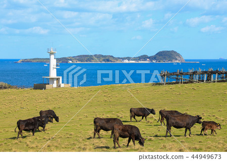 Saga Suginohara Range 44949673