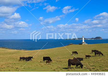 Saga Suginohara Range 44949681