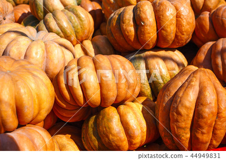 lots of ripe fresh pumpkins on the market lots of ripe fresh pumpkins on the market 44949831