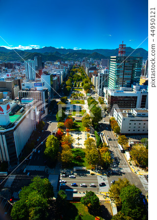 札幌市風景從電視塔的視圖 44950121