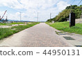 Road of Kashiwajima 44950131