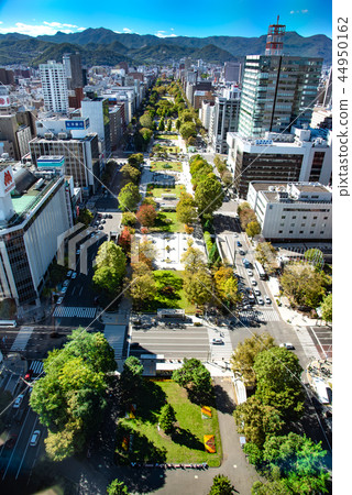 Sapporo city scenery View from TV tower Sapporo city scenery View from TV tower 44950162