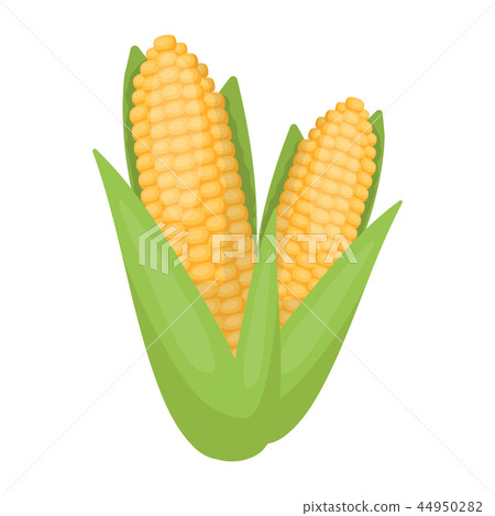 Sweet corn icon in cartoon style isolated on white background. Canadian Thanksgiving Day symbol Sweet corn icon in cartoon style isolated on white background. Canadian Thanksgiving Day symbol 44950282
