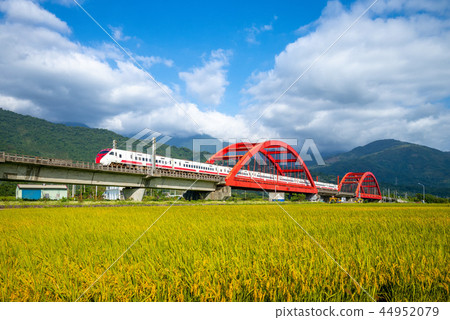 train on the field in yuli, hualien, taiwan 44952079