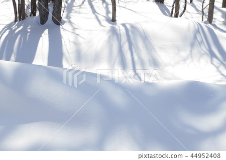 Snow scenery, shadows of trees, winter scenery Snow scenery, shadows of trees, winter scenery 44952408