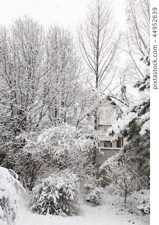 Beautiful winter day is in the city. Beautiful winter day is in the city. 44952639