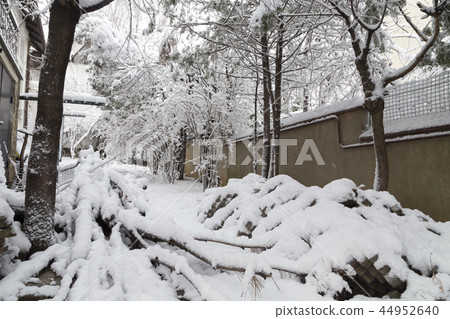 Beautiful winter day is in the city. Beautiful winter day is in the city. 44952640