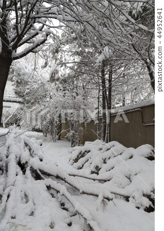 Beautiful winter day is in the city. 44952641